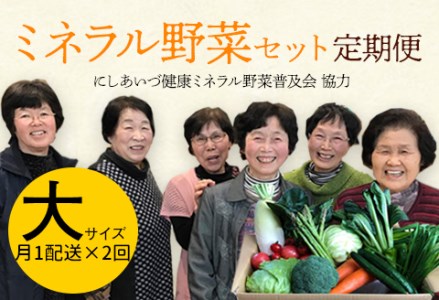 西会津ミネラル野菜セット定期便(大)2回