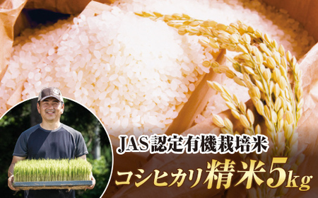 令和7年産米 JAS認定 有機栽培米 コシヒカリ 精米 5kg 米 お米 おこめ ご飯 ごはん 福島県 西会津町
