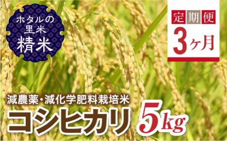  ＜定期便3ヶ月＞【ホタルの里米】環境に配慮し農薬を減らした栽培米 コシヒカリ精米5kg  F4D-2269