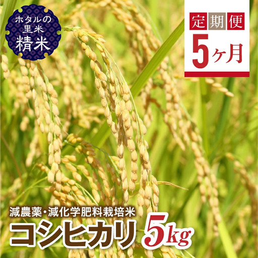  ＜定期便5ヶ月＞【ホタルの里米】環境に配慮し農薬を減らした栽培米 コシヒカリ精米5kg  F4D-2271
