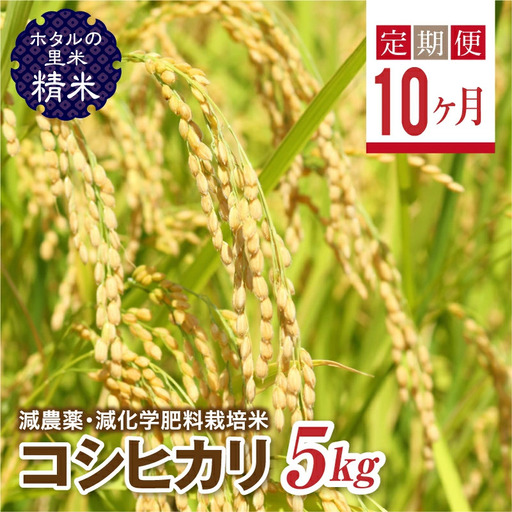  ＜定期便10ヶ月＞【ホタルの里米】環境に配慮し農薬を減らした栽培米 コシヒカリ精米5kg  F4D-2276