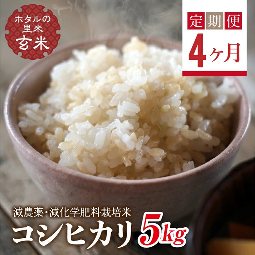  ＜定期便4ヶ月＞【ホタルの里米】環境に配慮し農薬を減らした栽培米 コシヒカリ玄米5kg  F4D-2282