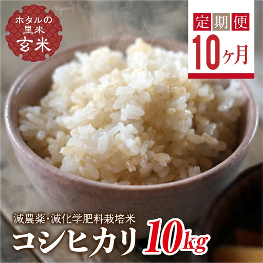  ＜定期便10ヶ月＞【ホタルの里米】環境に配慮し農薬を減らした栽培米 コシヒカリ玄米10kg  F4D-2312