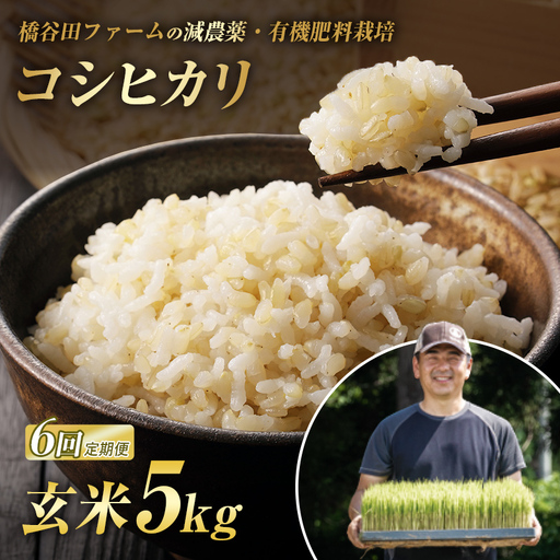 《定期便6ヶ月》 減農薬・有機肥料栽培 西会津産米コシヒカリ 玄米 5kg 米 お米 おこめ ご飯 ごはん 福島県 西会津町 F4D-2492