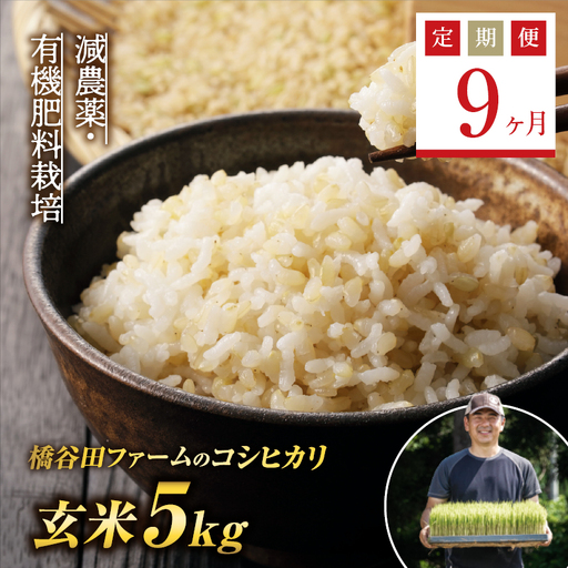 《定期便9ヶ月》減農薬・有機肥料栽培 西会津産米コシヒカリ 玄米 5kg F4D-2493