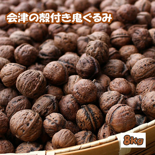 殻つき 会津の鬼ぐるみ８kg