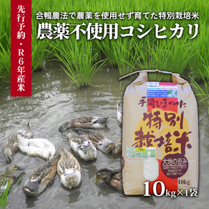 [令和6年産]農薬不使用 コシヒカリ米 合鴨農法 10kg(特別栽培米、旧名:会津磐梯山宝米