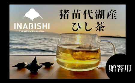 [新茶] 猪苗代湖産ひし茶(贈答用)3パック ティーバッグ 贈答用 茶 福島