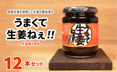 うまくて生姜ねぇ!!生姜焼き専用12本セット [しょうが 国産 醤油漬け しょうが焼き タレ ごはんのお供 調味料 薬味 隠し味 猪苗代町 福島県]