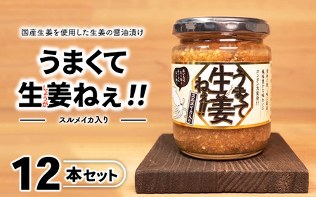 スルメイカ入りうまくて生姜ねぇ!!12本セット [しょうが 国産 醤油漬け するめいか ごはんのお供 お弁当 調味料 おつまみ 肴 薬味 隠し味 猪苗代町 福島県]