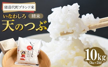 ߘa7NY c㒬uh Ȃ킵V̂(  ) 10kg V b    嗱 i aH