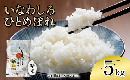 新米 いなわしろひとめぼれ( 精米 ) 5kg お米 白米 福島 やわらかい 和食