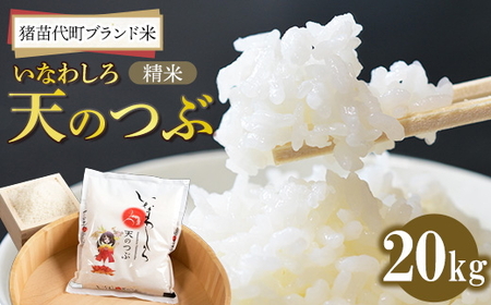 たこまいらいふ萩原農場】【玄米】20kg 令和5年産 特別栽培米