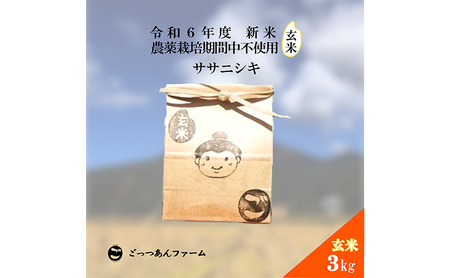 令和6年度産 新米 [どすこい米]自然栽培 ササニシキ 玄米 3kg