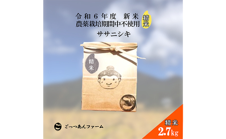 令和6年度産 新米 [どすこい米]自然栽培 ササニシキ 精米 2.7kg