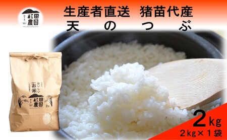 yߘa7NxY Vė\z  V̂ 2kg   2025N11{菇\ Eւ̔zs