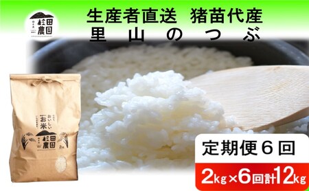 y 6zyߘa7NxY Vė\z  R̂ 12kg(2kg×6)   2025N11{菇\ Eւ̔zs