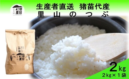 米 令和6年度産 新米 里山のつぶ 2kg 白米 精米 生産者直送 直送