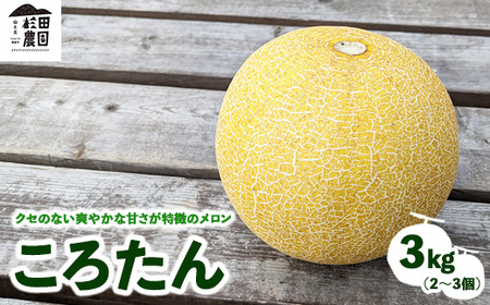 「ころたん」メロン 3kg 2〜3個 ※沖縄・離島への配送不可 ※2025年8月上旬〜10月中旬頃に順次発送予定