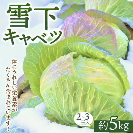[先行予約]雪下キャベツ(2〜3玉入/1箱 約5kg) | ブランド野菜 甘み 旨み 産地直送 福島県 猪苗代町 寄附額 10000 10000円 1万円 以下 以内 ※2027年1月〜発送
