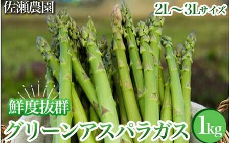 26-B 特選!アスパラガス1kg(2L〜3L)サイズ ※2026年4月中旬〜5月中旬頃に順次発送予定
