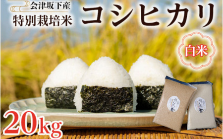 51-A Í≺Y ʍ͔|ăRVqJ 20kg(5kgx4)  FARMiliarق  u`āvb  R   20kg RVqJ