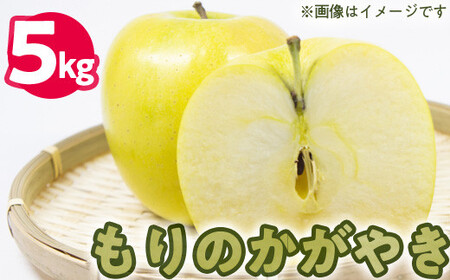 50-C 伊藤りんご園 もりのかがやき 5kg|りんご リンゴ 林檎 果物 くだもの フルーツ 福島県 会津坂下町 12〜14玉 蜜 ※2025年10月上旬頃より順次発送予定