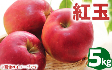 50-B 伊藤りんご園 紅玉 5kg|りんご リンゴ 林檎 果物 くだもの フルーツ 福島県 会津坂下町 20〜23玉 蜜 ※2025年10月上旬頃より順次発送予定