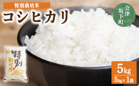 3-L コシヒカリ 白米 会津 5kg 1袋 令和7年産米 | 減農薬 特別栽培米 米 お米 藤川農産 ※2025年10月上旬頃より順次発送予定