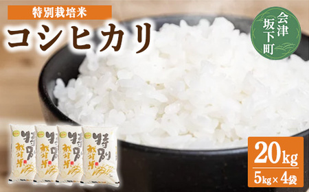 コシヒカリ 白米 会津 5kg 4袋 計20kg 令和6年年産米 減農薬 特別栽培米 米 お米 藤川農産 3-M ※2024年10月中旬頃より順次発送予定