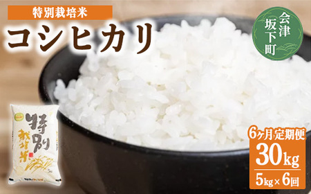 [6ヶ月定期便]コシヒカリ 白米 会津 5kg 6回 計30kg 令和6年産米 減農薬 特別栽培米 米 お米 藤川農産 3-N ※2024年10月中旬頃より順次発送予定