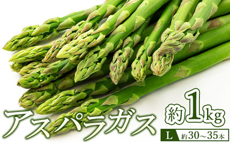 60-B AXpKXLTCY1kgi30`35{j2026N4{`9{ɏ\