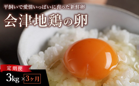 33-N [3か月定期便]平飼い会津地鶏の卵 3kg(50〜60個) ※沖縄・離島への配送不可