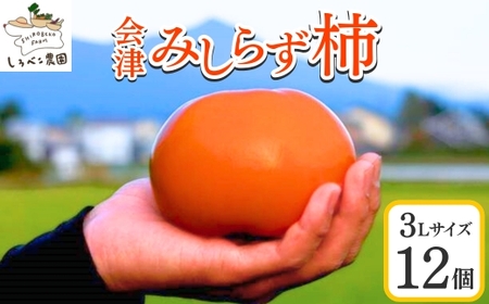 61-B ׂ_̉Â݂炸` 3LTCY12 2025N11{`12{ɏ\