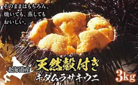 【北海道産】天然殻付きキタムラサキウニ 3kg(2025年6月以降順次発送)  MATB013