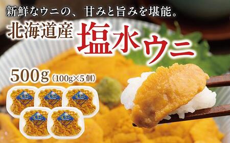 塩水ウニ 500g (100g×5個) 生うに ウニ 雲丹 ムラサキウニ バフンウニ 生鮮 無添加 魚介類 塩水 生食 北海道 松前町 送料無料 MATM002