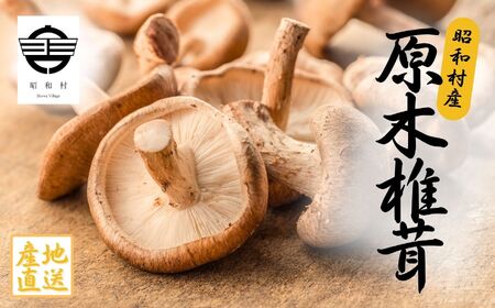 昭和村産原木しいたけ200g×8パック 椎茸 しいたけ きのこ 茸 料理 調理 ご飯 ごはん 原木しいたけ 野菜【青木農園】