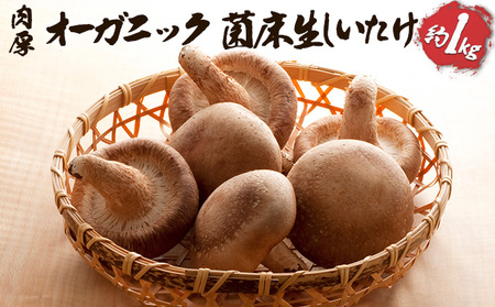 I[KjbN ۏ 1kg ̂  Y GAPF L@JASF H@ r^~ ~l