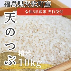 [令和6年度産 先行受付] 天のつぶ(矢吹町中畑地区産)10kg(5kg×2袋)