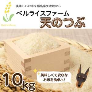 【令和6年産米先行受付】農家直送 ベルライスファームの天のつぶ　精米10kg【1537653】