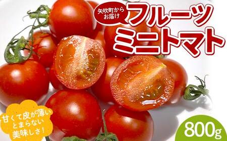 プチっと甘みがはじける！とにかく美味しい フルーツミニトマト 800g おやつやビールのおつまみにも！ F6U-143