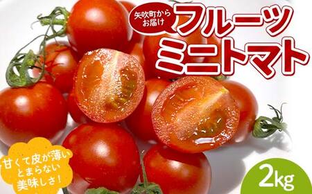 プチっと甘みがはじける！とにかく美味しい フルーツミニトマト 2kg（1kg×2） おやつやビールのおつまみにも！ F6U-169