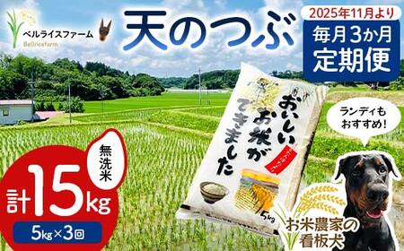 [お米の定期便 2025年11月より毎月3か月配送]農家直送 天のつぶ 無洗米 5kg 全3回 F6U-180
