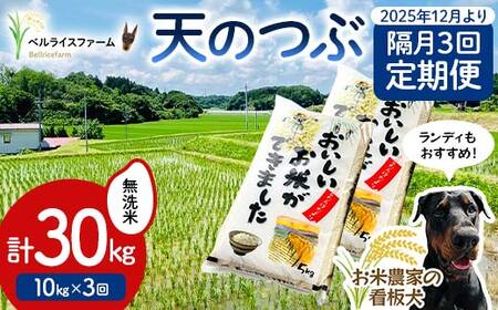 [お米の定期便 2025年12月より隔月3回配送]農家直送 天のつぶ 無洗米 10kg 全3回 F6U-186