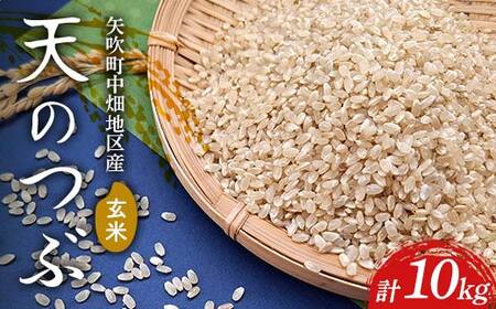 [令和7年産]矢吹町中畑地区産天のつぶ 玄米10kg(5kg×2袋) F6U-266