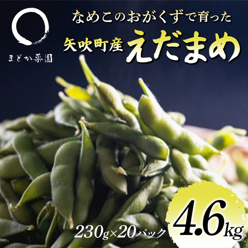 なめこのおがくずで育った 矢吹町産えだまめ 4.6kg 枝豆 F6U-410