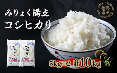 満点コシヒカリ 10kg(5kg×2)_ コシヒカリ 米 こしひかり_