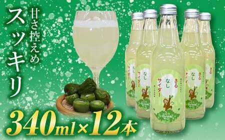 玉川村特産 さるなしサイダー 12本 FT18-213