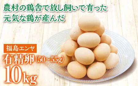 玉川村産 有精卵50～55g 180玉（割れ保証20玉含む） 栄養満点 タマゴ 玉子 エッグ 国産 オムレツ TKG 温泉卵 FT18-222