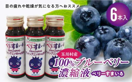 玉川村産100%ブルーベリー濃縮液 ベリーすまいる 6本 FT18-225